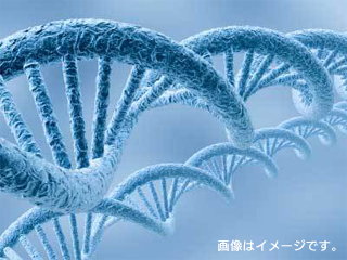長寿遺伝子に働きかける成分「NMN」とは